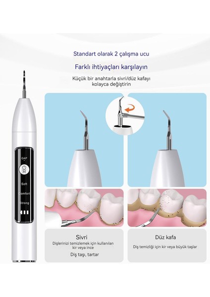 Ben Nevis Sonic Diş Temizleyici, Diş Taşı Temizleyici Elektrikli Diş Bakım Aracı (Yurt Dışından)