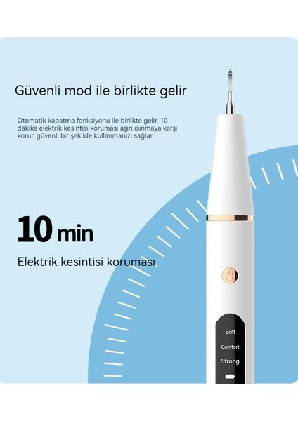 Ben Nevis Elektrikli Taşınabilir Diş Temizleme Cihazı Diş Taşı Temizleyici Paslanmaz Çelik Diş Temizleme Cihazı Güzellik Diş Cihazı (Yurt Dışından)