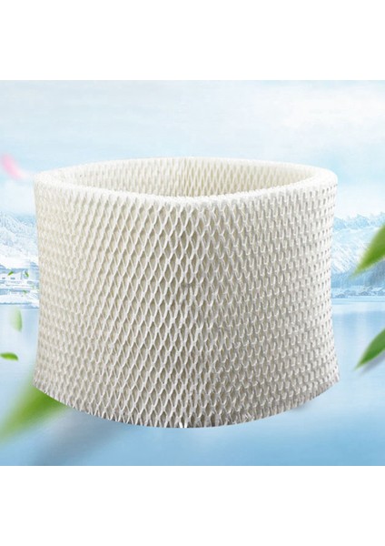 2 Adet Filtreler Boneco E2441A Hepa Filtre Çekirdek Değiştirme Boneco Air-O-Swiss Aos 7018 E2441 Nemlendirici Parçaları (Yurt Dışından) modelleri