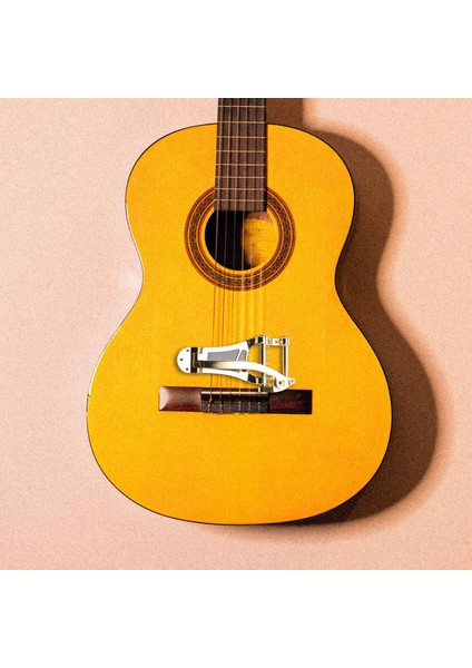 Gibson Bigsby ES355 Epiphone Gold Için Vibrato Bridge Tailpiece B7 Caz Gitar (Yurt Dışından)