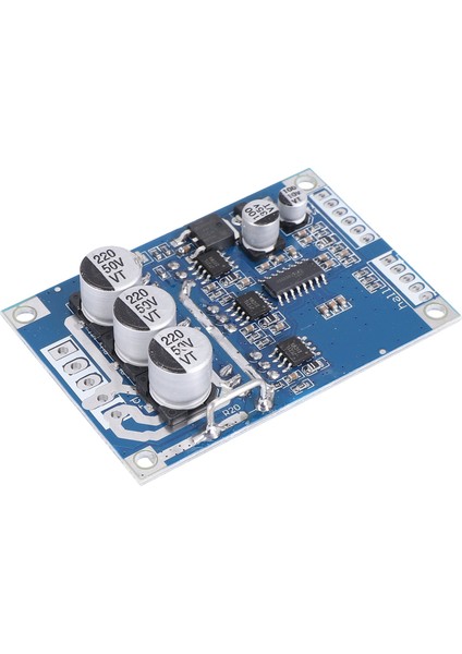 Dc Fırçasız Motor Kontrol Cihazı 12V-36V Dengeleme Otomotiv Dengeli Araç Sürücü Kontrol Panosu (Yurt Dışından)