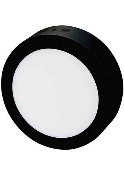 18W Sıva Üstü LED Panel Yuvarlak Siyah Kasa Beyaz Işık