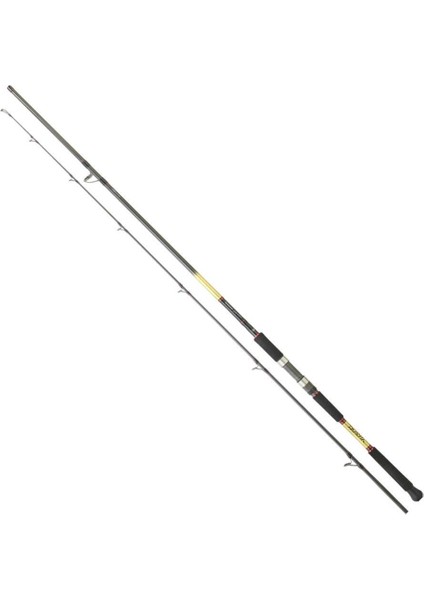 Grandwave Sj 290CM 28-84GR Shore Jig Kamış