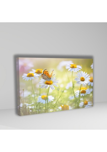 Tekli Yatay Kanvas Duvar Tablosu Papatyalar ve Sarı Kelebek fiyatları