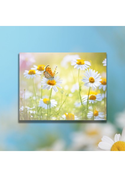 Tekli Yatay Kanvas Duvar Tablosu Papatyalar ve Sarı Kelebek modelleri