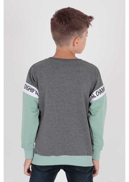 Erkek Çocuk Superior Baskılı Trend Sweatshirt AK15118 fiyatları