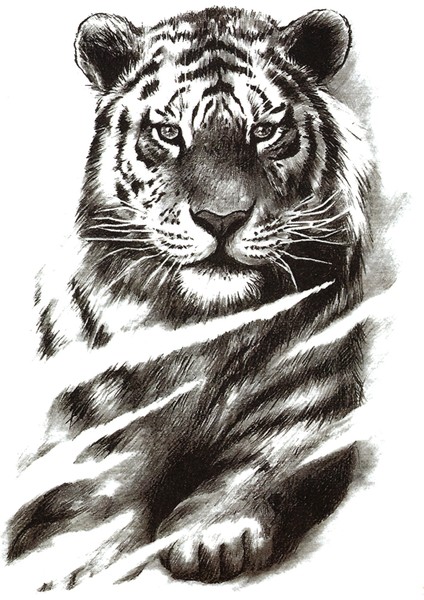 Gerçek Dövme Görünümlü Kaplan Dövmesi Tiger Tattoo