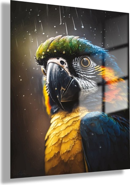 Temperli Gerçek Cam Tablo Su Damlası ve Renkli Papağan