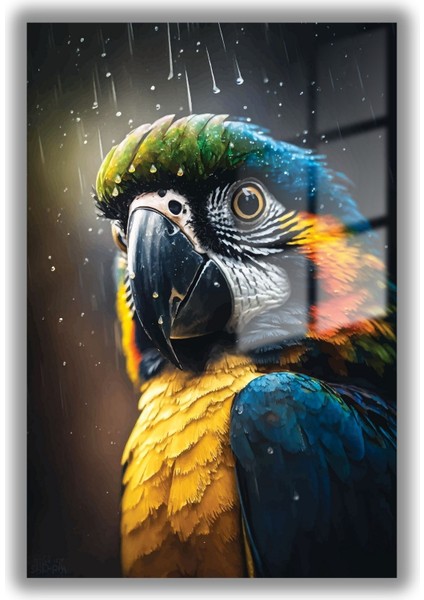 Temperli Gerçek Cam Tablo Su Damlası ve Renkli Papağan fiyatları