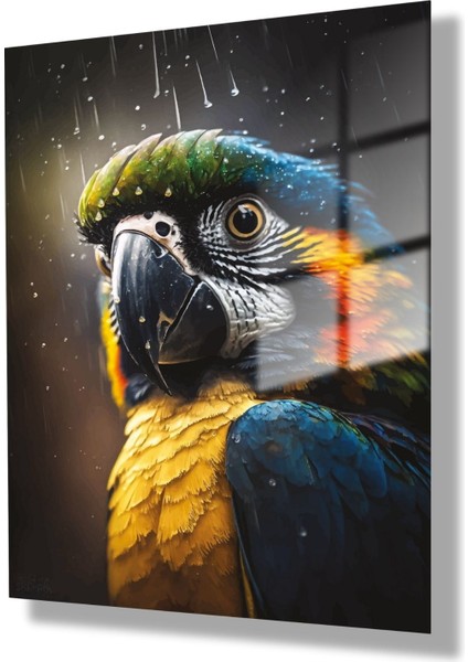 Temperli Gerçek Cam Tablo Su Damlası ve Renkli Papağan modelleri