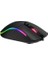 Kablolu Rgb Optik Oyuncu Mouse MS1001 3