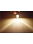 12V Dc Stili Sıcak Beyaz 4 Adet E10 3V 6V 12V 24V Beyaz LED Ampul Minyatür Vida Yükseltme Lambası Değiştirme El Feneri Torch Bisiklet Dıy Çalışma Mini Işık (Yurt Dışından) 1