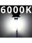 D2S Stili 6000K Soğuk Beyaz Dmex Oem W D1S D2S D2R D3S D4S D4R Xenon Hıd Ampuller Araba Far Değişimi 4300K ​​4500K 5000K 5500K 6000K 8000K (Yurt Dışından) 1