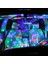 QP2465 Araba USB LED Parti Işıkları Sahne Etkisi Karaoke Atmosfer Lambası 4W 5V Taşınabilir Disko Topu Renkli Lazer Dj Disko Hafif Müzik (Yurt Dışından) 1