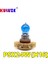 PSX24W Stili Kehribar Gh H16QUARTZ Halojen Ampul Lear PSX24W 12V 24W Otomobil Lambası Sis Lambası Sürüş Işığı Süper Beyaz Ampul Amber (Yurt Dışından) 5
