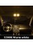 E36 - 11 Adet Tarzı Beyaz Uyar Bmw E87 E81 F20 E36 E46 E90 E91 E92 E93 F30 E39 E60 E61 F10 F11 E38 E65 E Iç Işıklar Için Bmtxms (Yurt Dışından) 1