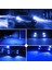 H7 Stili 8000K Buz Mavisi Cartnt Lm K 8000K Hb Hb4 H11 H7 LED Ampuller H4 H8 H9 LED Araba Far Ampul Süper Parlak 12V 110W Işıklar (Yurt Dışından) 1