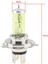 H4 100 2500K Sarı Halojen Lambalar 12V H1 H3 Hk Sarı Işık Süper Parlak Otomatik Ön Far Sis Ampulü Araba Işık Kaynağı Otopark (Yurt Dışından) 5