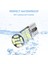 Kehribar 10 Adet Rxz T10 LED Canbus W5W LED Ampuller Sinyal Lambası Dome Okuma Plaka Lambası Araba Iç Işıkları LED T10 Canbus (Yurt Dışından) 5