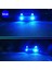 H11 Stili Mavi 2ADET H8 H11 LED Ampul Hb4 LED Sis Lambasık 12V 24V Beyaz Sarı Yeşil Limon Buz Mavisi Araba Sürüş Işıkları H16 Oto Lambası (Yurt Dışından) 1