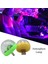QP1364 Araba Çatı Yıldız Işığı Iç LED Yıldızlı Lazer Atmosfer Ortam Projektörü USB Oto Dekorasyon Gece Ev Dekorasyonu Galaxy Işıkları (Yurt Dışından) 2