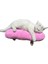 Tineke Kedi Oyuncağı Sarılma Yastığı Uyku Oyuncağı Kedi Otlu 30 cm Peluş ( 1 Adet 2