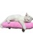 Tineke Kedi Oyuncağı Sarılma Yastığı Uyku Oyuncağı Kedi Otlu 30 cm Peluş ( 1 Adet 4