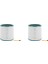 Dyson TP00/TP03/TP02/AM11 Kule Arıtma Saf Soğuk Bağlantı Için 2x Yedek Hava Temizleme Filtresi (Yurt Dışından) 1