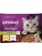 Pouch Pure Delight Tavuklu ve Somonlu Yetişkin Kedi Konservesi 4 x 85 gr 13 Adet 1