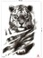 Gerçek Dövme Görünümlü Kaplan Dövmesi Tiger Tattoo 3