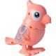  Renk Pembe