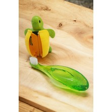 Rocs Baby 0-3 Yaş Diş Fırçası ve Flipper Hijyenik Saklama Kabı Seti - Kaplumbağa Figürlü - Yeşil