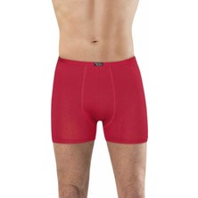Anıt Bambu Erkek Boxer 1275