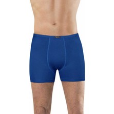 Anıt Bambu Erkek Boxer 1275