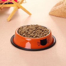 Weather Forecast Paslanmaz Çelik 180 ml Turuncu Kaymaz Taban Kedi Köpek Mama ve Su Kabı CIN570TR