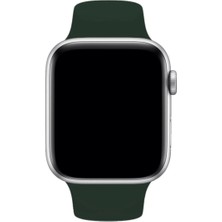 Vip Case Apple Watch Silikon Kordon 1/2/3/4/5/6/7/8/9/S E Serileri ile Uyumlu 38MM-40MM-41MM Uyumlu