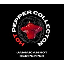 Hot Pepper Collector Jamaıcan Hot Red Pepper / 300.000 Shu - 2 Adet Taze Biber