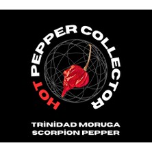 Hot Pepper Collector Trinidad Moruga Scorpion / 1.2 Milyon Shu - 2 Adet Taze Biber