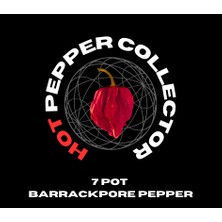 Hot Pepper Collector 7 Pot Barrackpore Pepper  1 Milyon Shu - 2 Adet Taze Biber