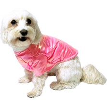 Nobledog Store Nobledog Mor Parlak Köpek Montu