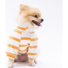 Pettrend Sarı Çizgili Teddy Ayıcık Bear Kedi- Köpek Sweatshirt  Kedi Köpek Kıyafeti Köpek Giysisi