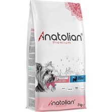 Anatolian Premium Mini Adult Salmon Somonlu Yetişkin Küçük Irk Köpek Maması 2 kg