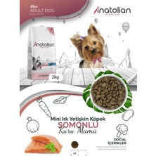 Anatolian Premium Mini Adult Salmon Somonlu Yetişkin Küçük Irk Köpek Maması 2 kg