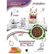 Anatolian Premium Sterilised Salmon Somonlu Kısırlaştırılmış Kedi Maması 4 kg