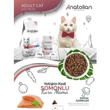 Anatolian Premium Adult Salmon Somonlu Yetişkin Kedi Maması 2 kg