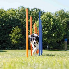 Trixie Köpek Agility Eğitim Direkleri