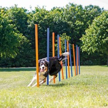 Trixie Köpek Agility Eğitim Direkleri