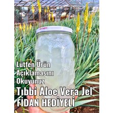 aloe vera jel, doğal alovera jel, 425 ml cam kavanozda, aloe vera fidan hediyeli
