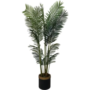 Erhan Flowers 180 cm Areka Darbuka Saksı
