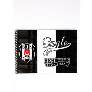 Lisanslı  Resim Defteri